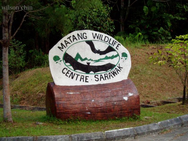 Wildlife centre matang MATANG WILDLIFE